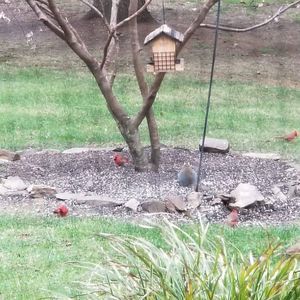 Meet your Posher, Sherry